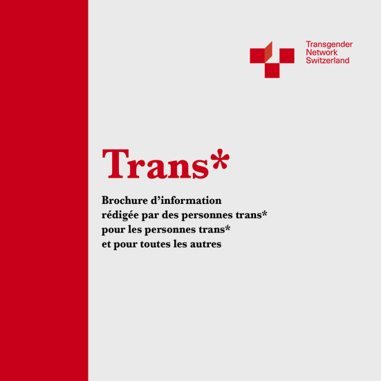 F-Brochure-Trans-1